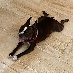 Meet your Posher, Janice